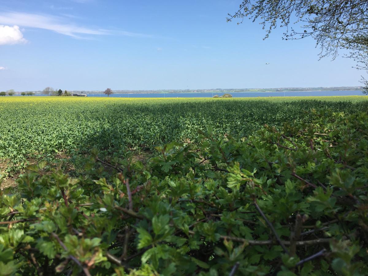 Sønderborg Vibaekヴィラ エクステリア 写真